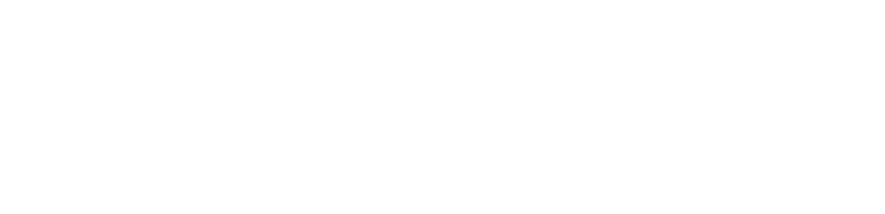 El Llaminer